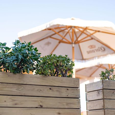 فندق The Ivory Haus بليتنبيرغ باي المظهر الخارجي الصورة